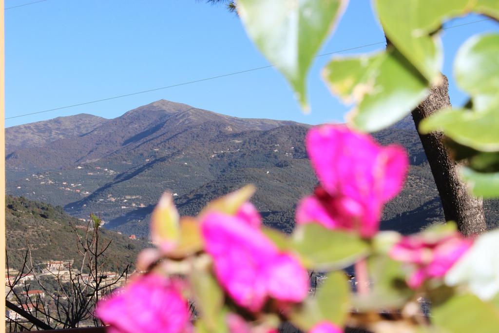 Tenuta Domine Imperia Δωμάτιο φωτογραφία